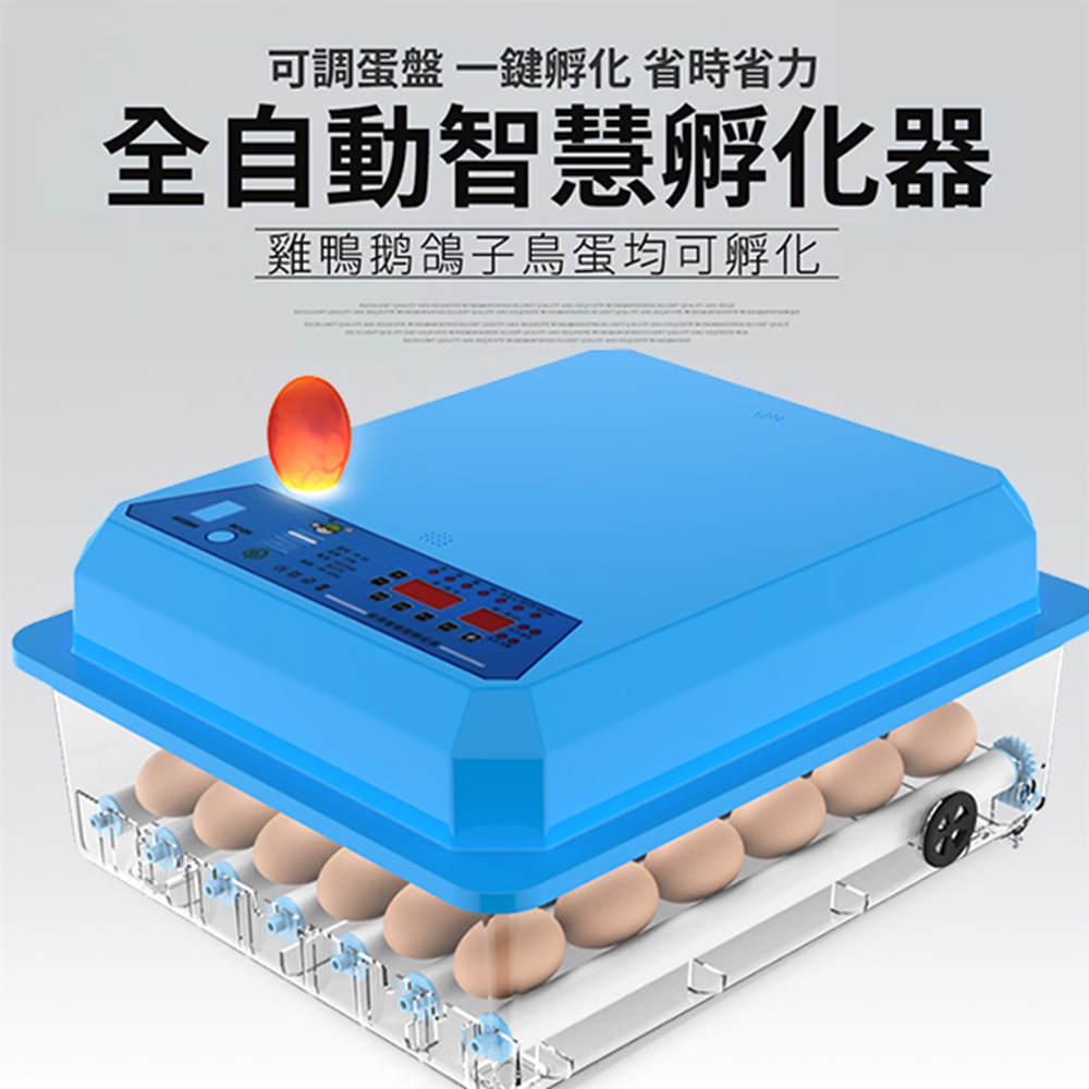 全自動智慧控溫箱 36枚孵蛋機家用孵蛋機 雙電源自動控溫 孵蛋機 孵蛋器 孵蛋器 雞鴨鳥蛋孵化箱 孵蛋