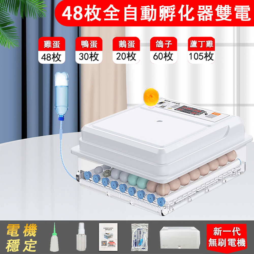 巧可 48枚小型家用型孵化機 雞鴨鵝鴿子鹌鹑孵化箱 控溫箱 全自動智能孵蛋器 蘆丁雞孵化器