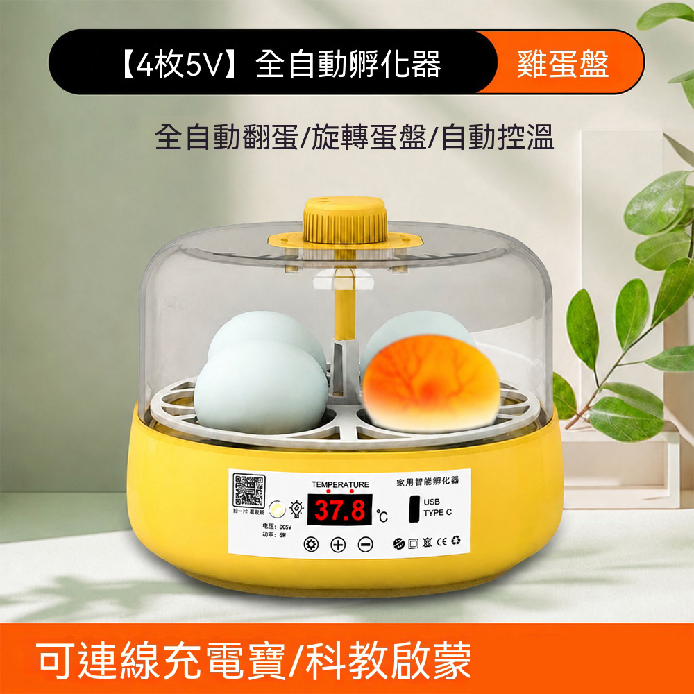 【寵悅】孵蛋器 小雞孵化器 雞苗孵化箱 小型家用孵化機 全自動智能孵化機 4枚雞蛋全自動款