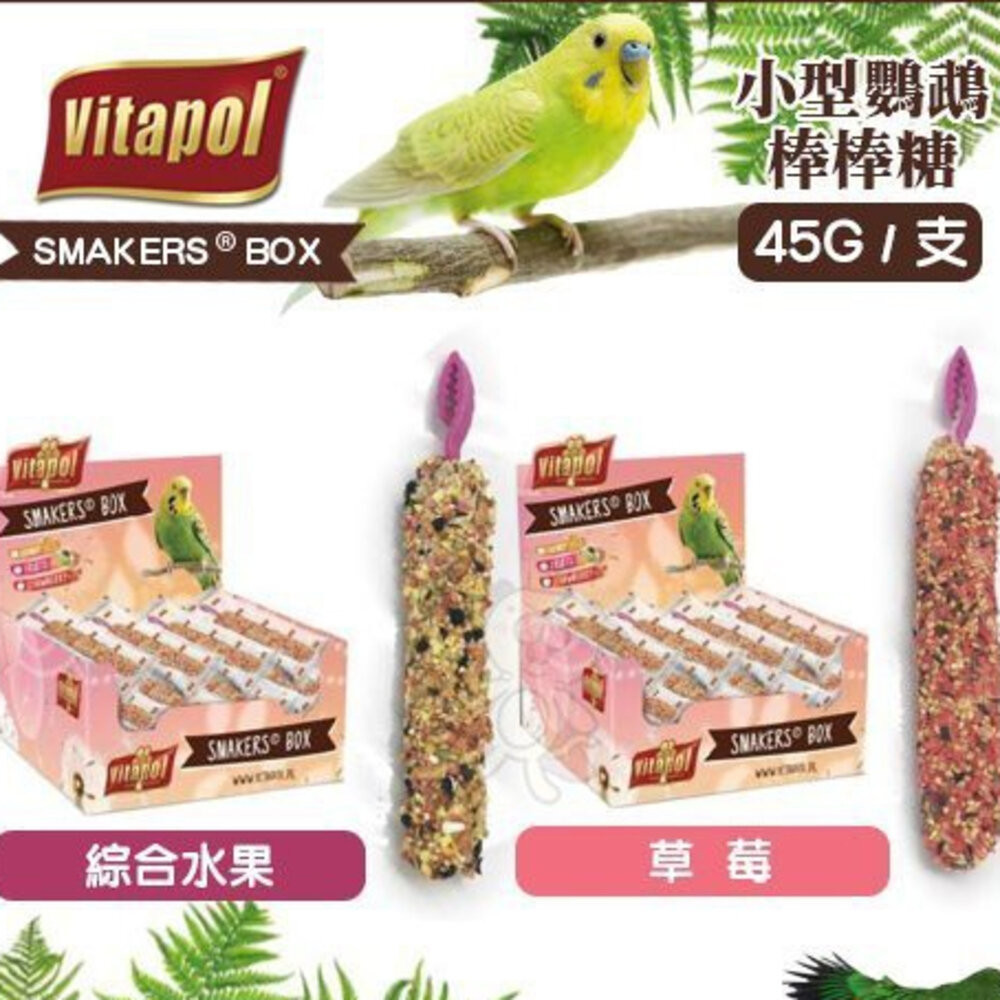 Vitapol維他寶-小型鸚鵡棒棒糖 45g【12入】