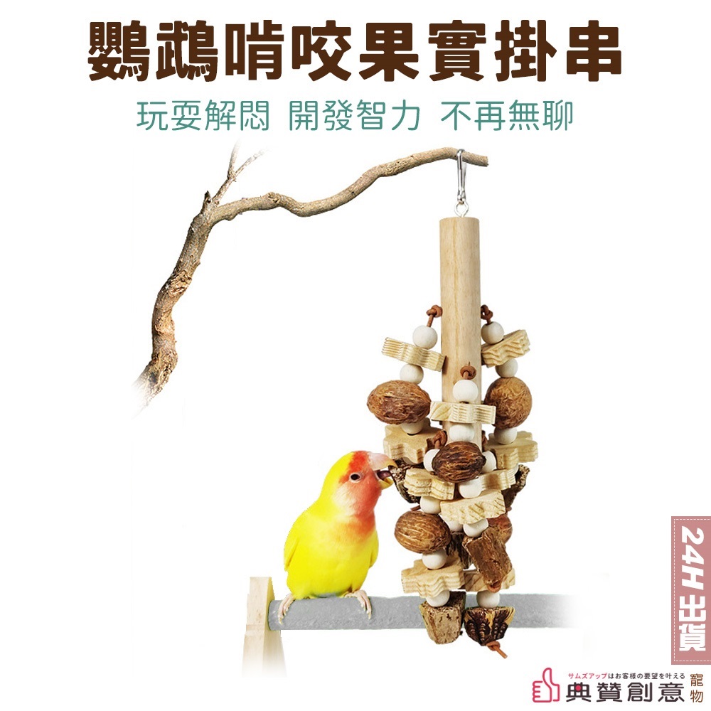 鸚鵡啃咬果實掛串
