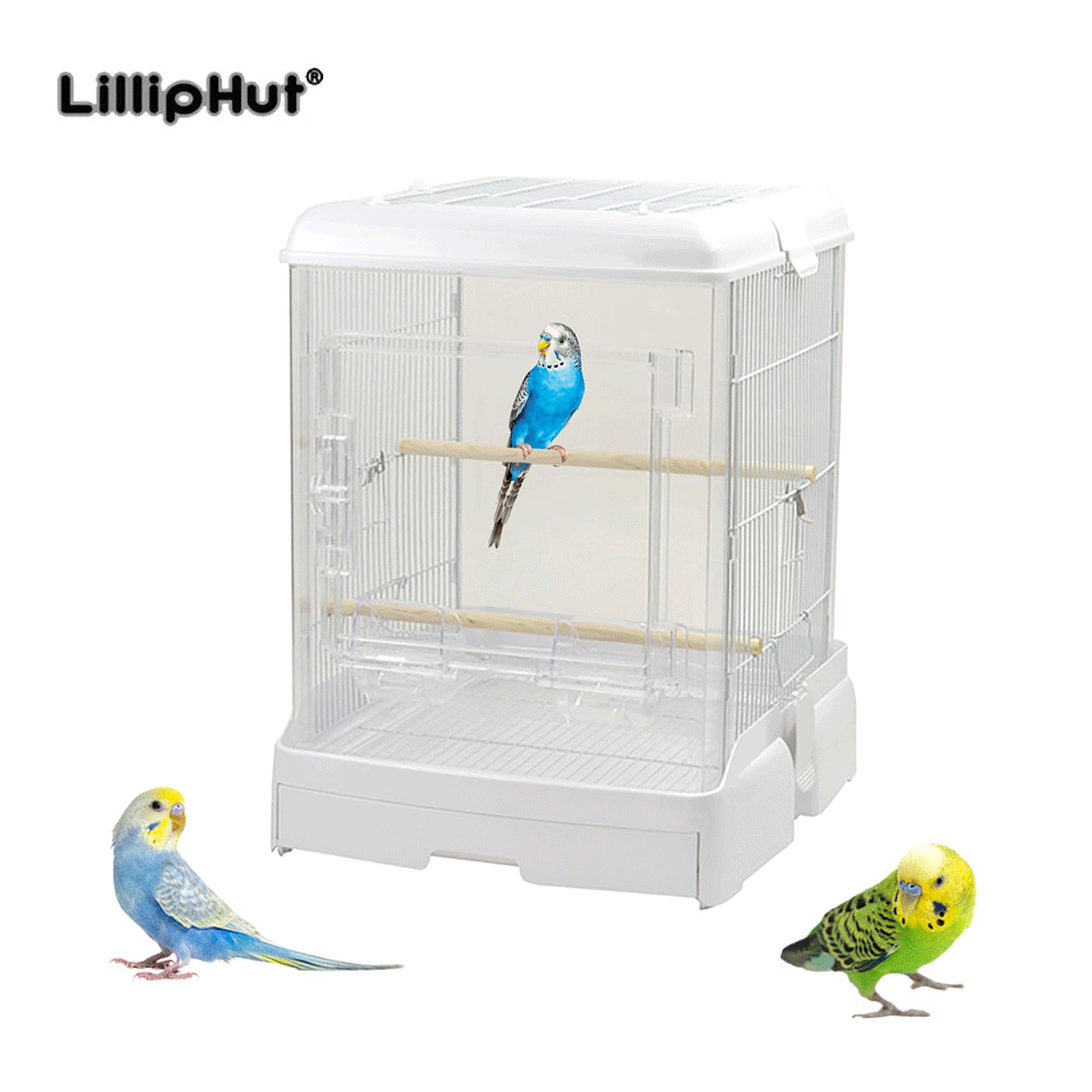 LillipHut 麗利寶 舒適快潔透亮2240白色 40型