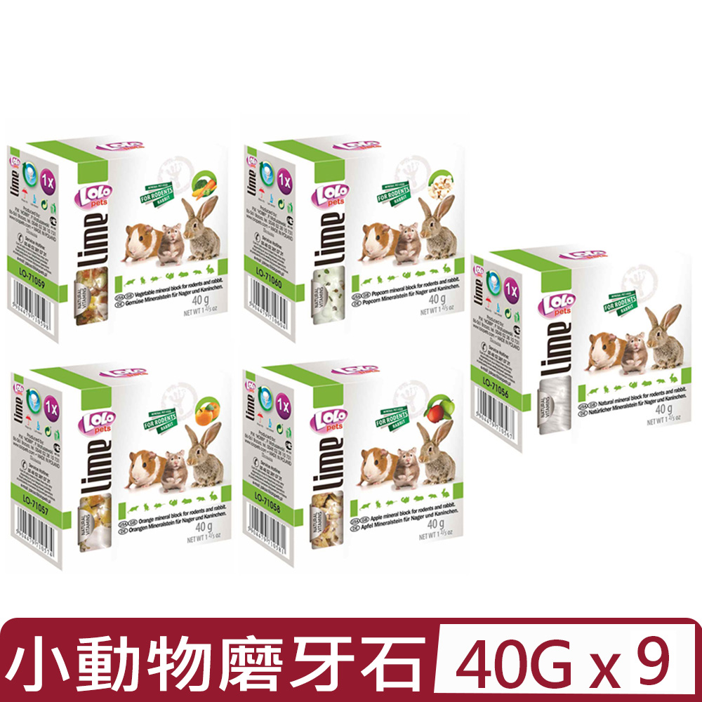 【9入組】歐洲LOLO- 小動物礦物質磨牙石系列 40g