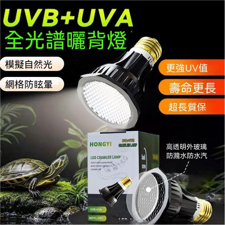 【ISLE】爬寵UVB曬背燈 全光譜爬寵燈 爬蟲補鈣燈 UVA+UVB二合一 仿太陽光 促進D3合成補鈣