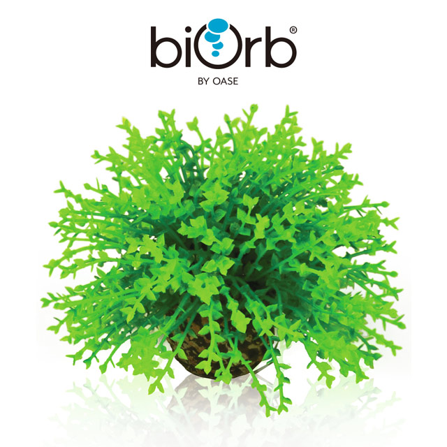 OASE 歐亞瑟 biOrb 綠色仿真花球