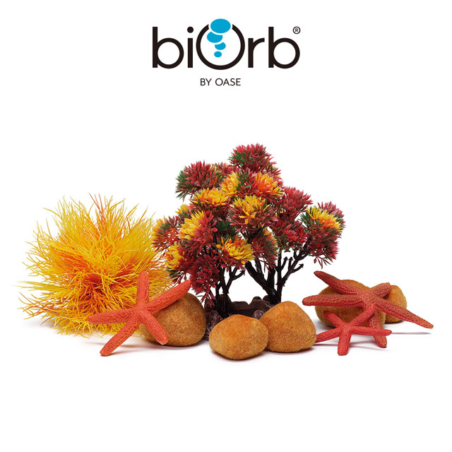 OASE 歐亞瑟 biOrb 秋意濃裝飾套組15L