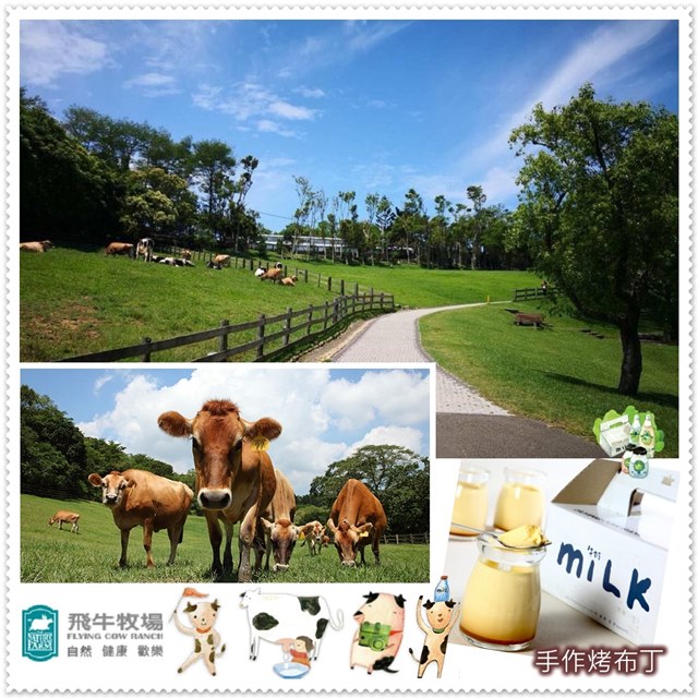 飛牛牧場 2張組【苗栗】-單人入園全票+烤布丁3入組