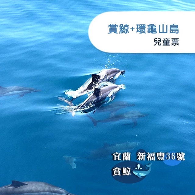 JIN36 新福豐36號賞鯨 【宜蘭】+環龜山島-兒童票