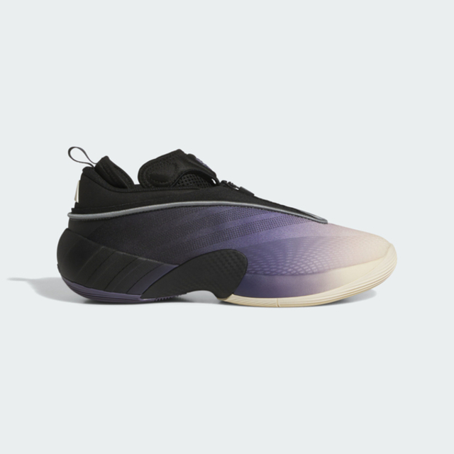 adidas 愛迪達 Adidas 愛迪達 D.O.N. Issue 7 Pulse JR9503 男 籃球鞋 穩定 支撐 緩震 黑 紫