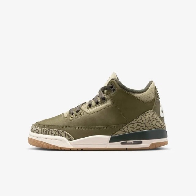 NIKE 耐吉 Nike 耐吉 Air Jordan 3 Retro GS [DM0967-202] 大童 運動休閒鞋 爆裂紋 橄欖綠