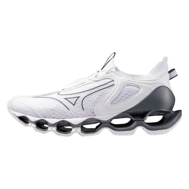 MIZUNO 美津濃 Mizuno Prophecy [J1GC255132] 男 慢跑鞋 彈力 支撐 緩震 美津濃 白 銀