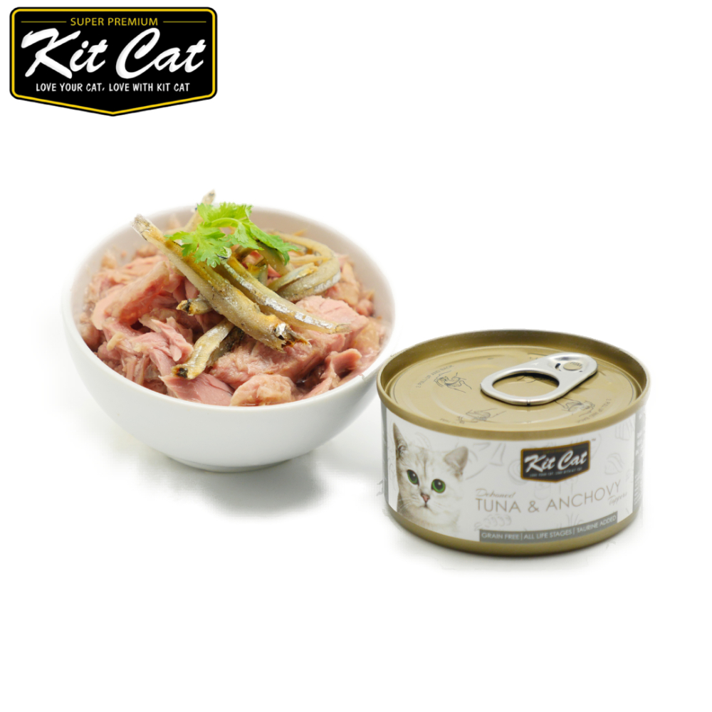 Kit Cat 貓罐-鮪魚.鯷魚 80g*24入