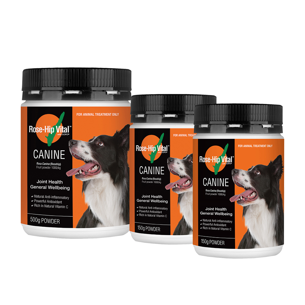 Rose-Hip Vital 澳寵瑰寶 寵物犬貓營養保健粉 500g +150gx2罐/組 玫瑰果粉