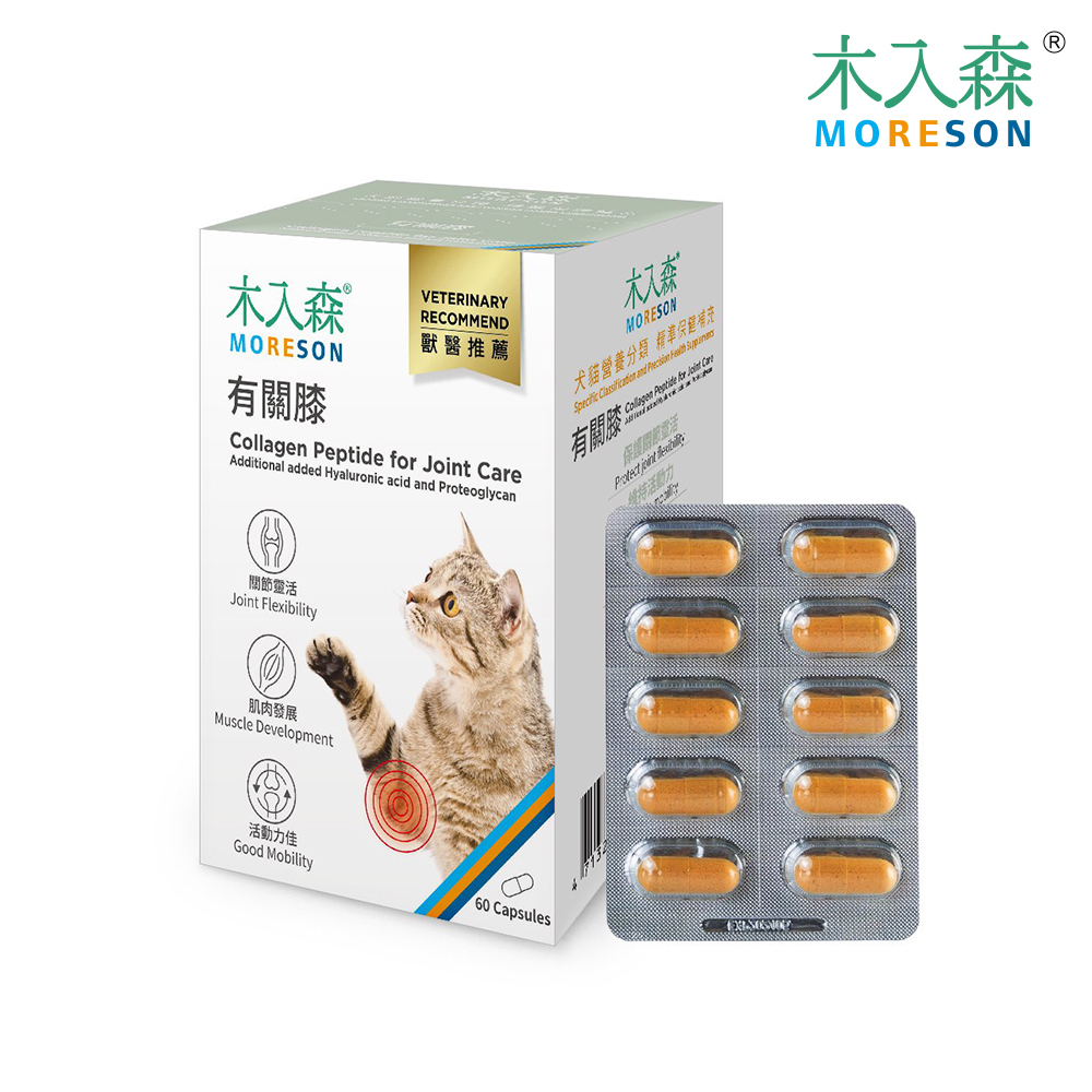 木入森 貓咪有關膝60顆
