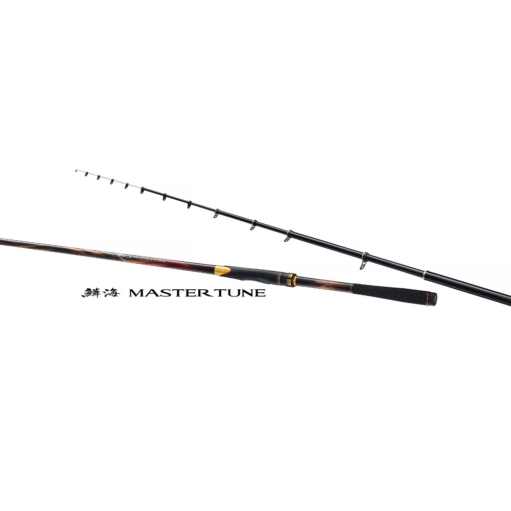 SHIMANO 禧瑪諾鱗海MASTER TUNE 0.6號530 磯釣竿(270719) - PChome 24h購物