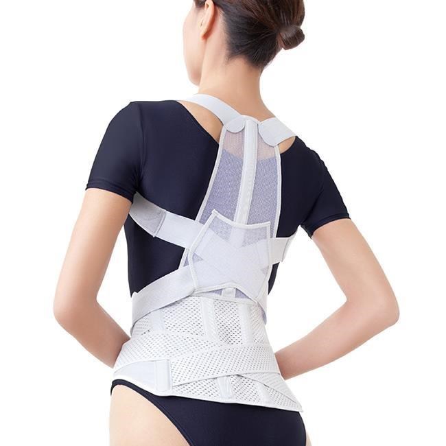 ALPHAX 日本製 腰背支撐帶 一入 護背帶 護腰帶