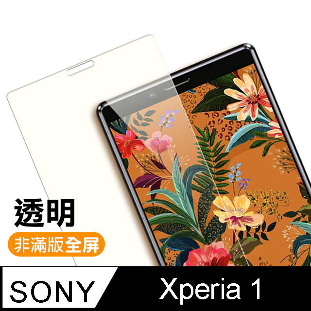 SONY Xperia 1 透明 9H鋼化玻璃膜
