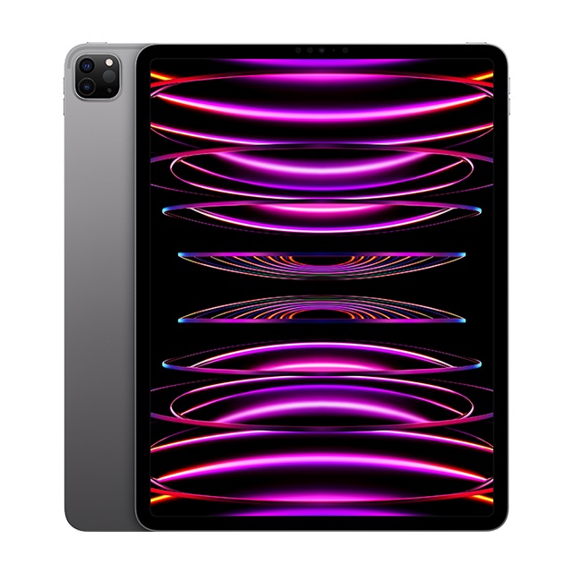 2022 Apple iPad Pro 12.9吋 256G WiFi 太空灰