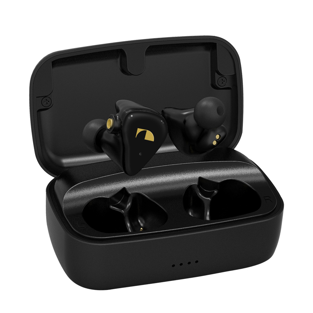 Nakamichi ELITE PRO TWS 600 イヤホン Nakamichi ELITE PRO TWS 600 ワイヤレスイヤホン Nakamichi