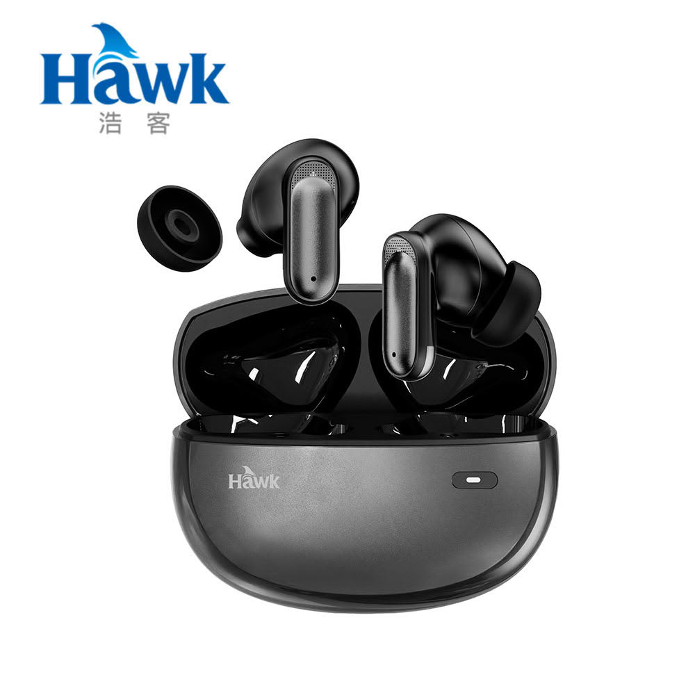 Hawk 浩客 W10 入耳/半入耳 可調式藍牙降噪耳機|沉穩灰
