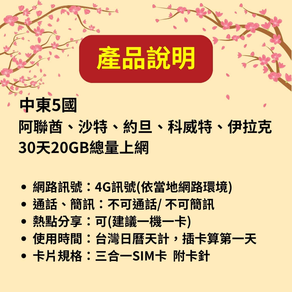 SIMFLY 【中東5國30天20GB總量上網卡】 【原星光卡環遊卡系列】 - PChome 24h購物