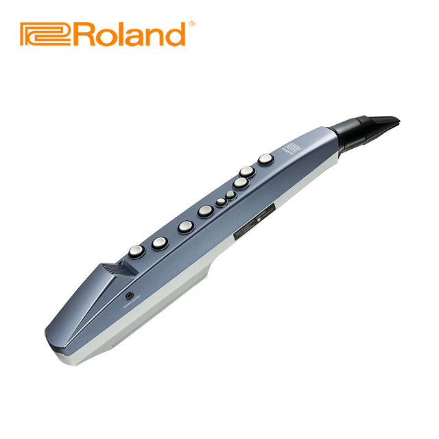 Roland 樂蘭 AE-01 Aerophone mini 數位吹管 原廠公司貨 商品保固有保障