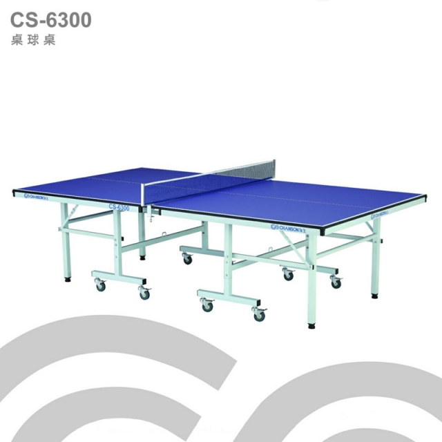 CHANSON 強生 【1313健康館】牌 CS-6300桌球桌/乒乓球桌/桌球檯