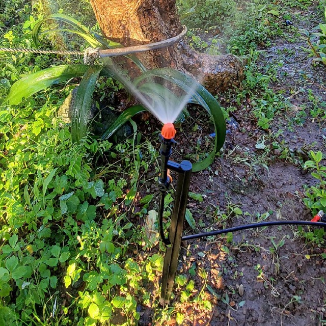 灑水達人 兩分90度噴灑POM材質50公分腳架