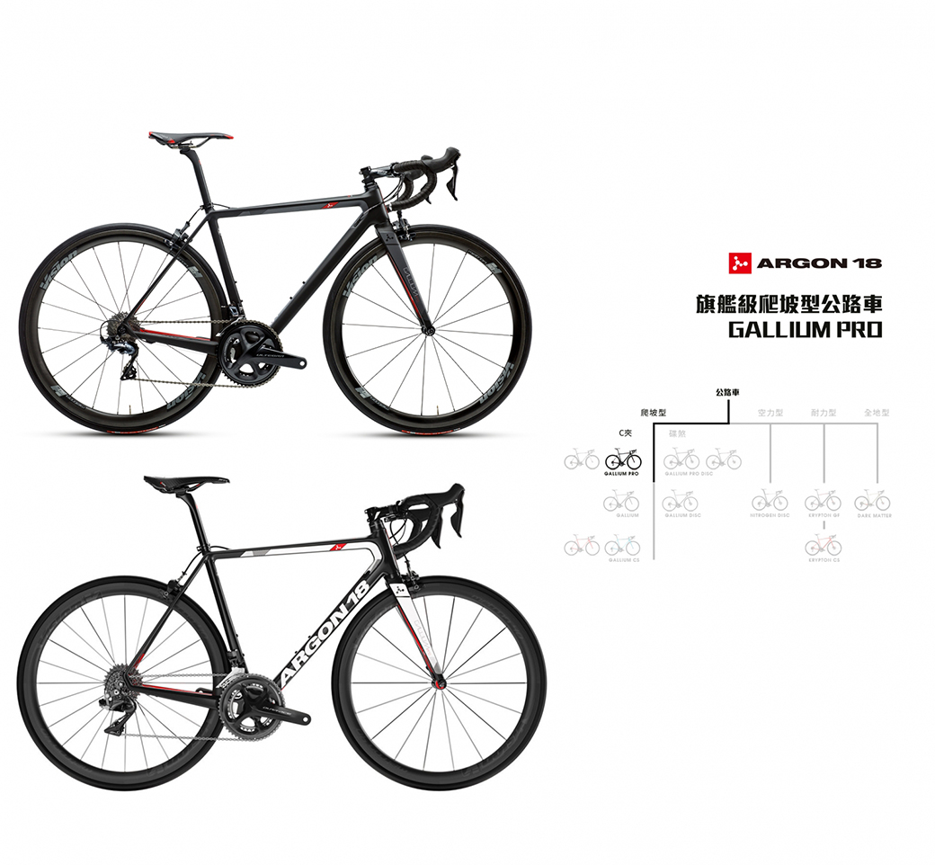ARGON18 Gallium 完成車