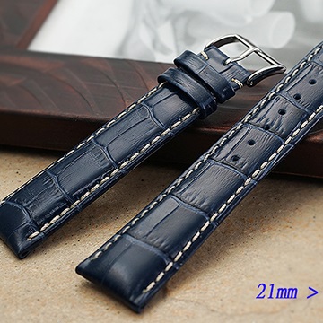 LONGINES 浪琴 進口   代用高級錶帶 ( 21mm)（其他規格）