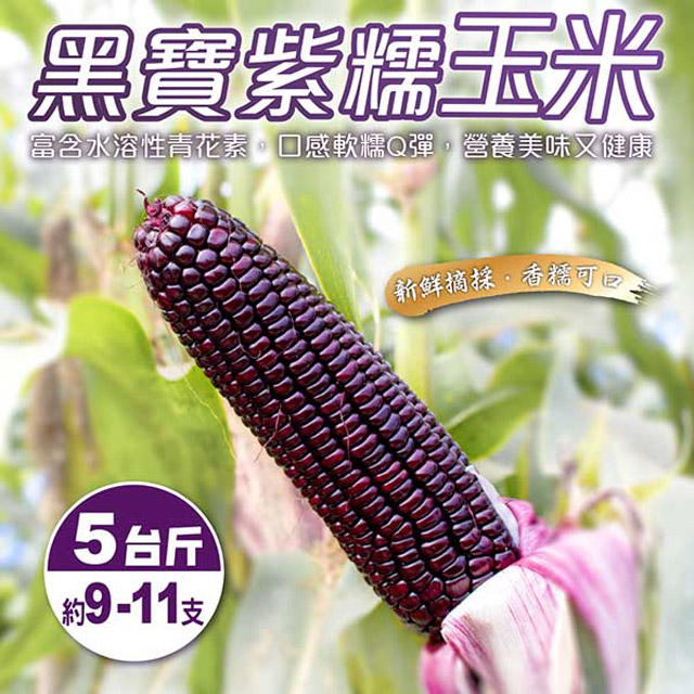 WANG蔬果 黑寶紫糯米玉米(5斤10%)