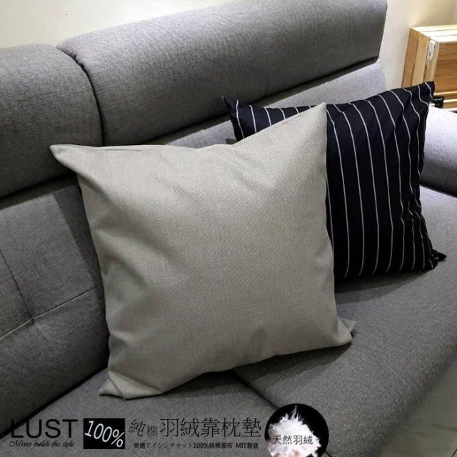 LUST生活寢具《五星級飯店專用-羽絨靠墊》 /送純棉枕套/顏色四選一/抱枕/靠墊/美人抬腿 65X65cm