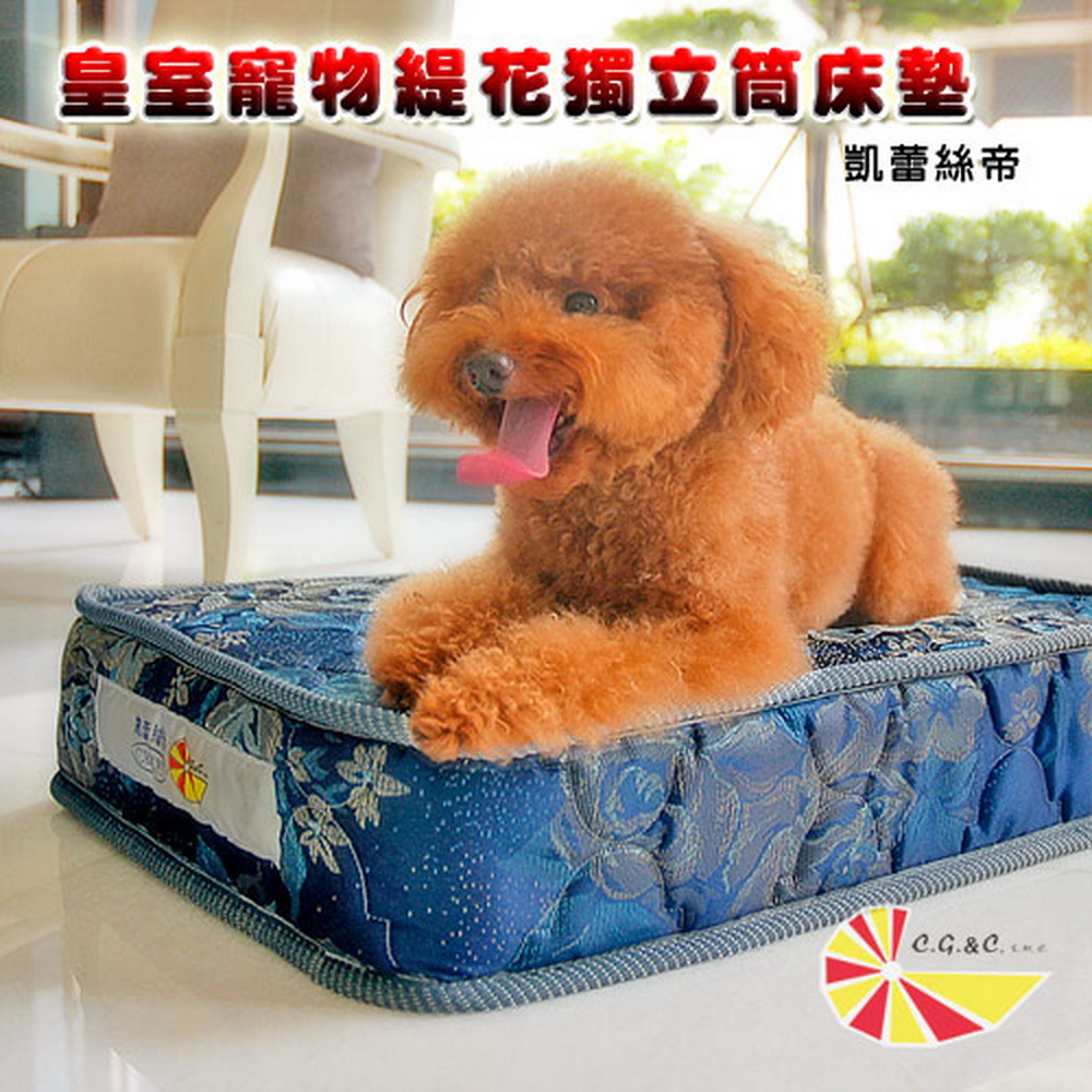 凱蕾絲帝 特大型-台灣製造.寵物專用獨立筒彈簧床墊(60*120*11cm)贈防污床包隨機花色