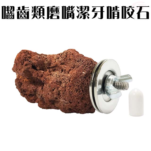 金德恩 美國製造 LIXIT 囓齒類磨嘴潔牙啃咬石 寵物用品 囓齒類 磨嘴石 潔牙石 啃咬石 寵物