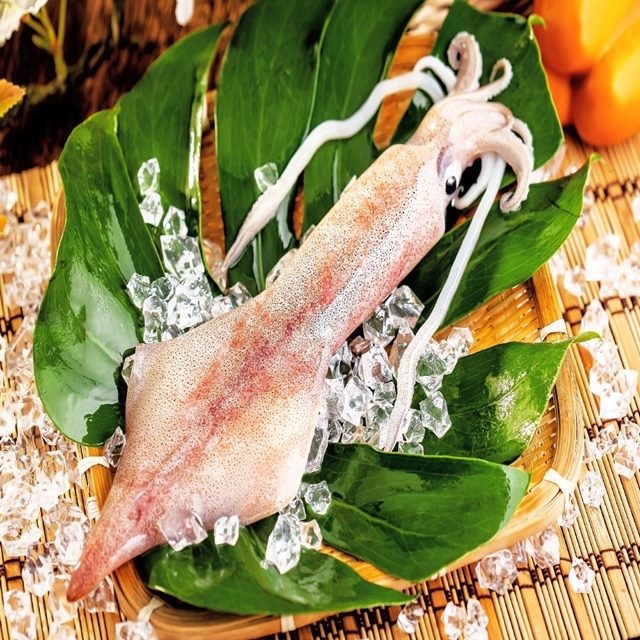 華得水產 船凍透抽16件組(210g/件)